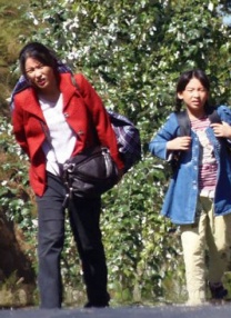 黄视频免费观看大全