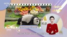 精品国产网站地址